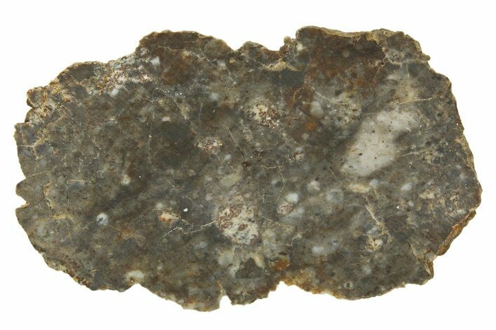 Lunar Meteorite ( g) Thin Slice - NWA #316706